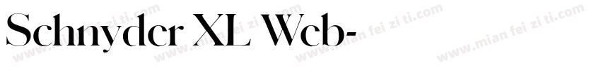 Schnyder XL Web字体转换